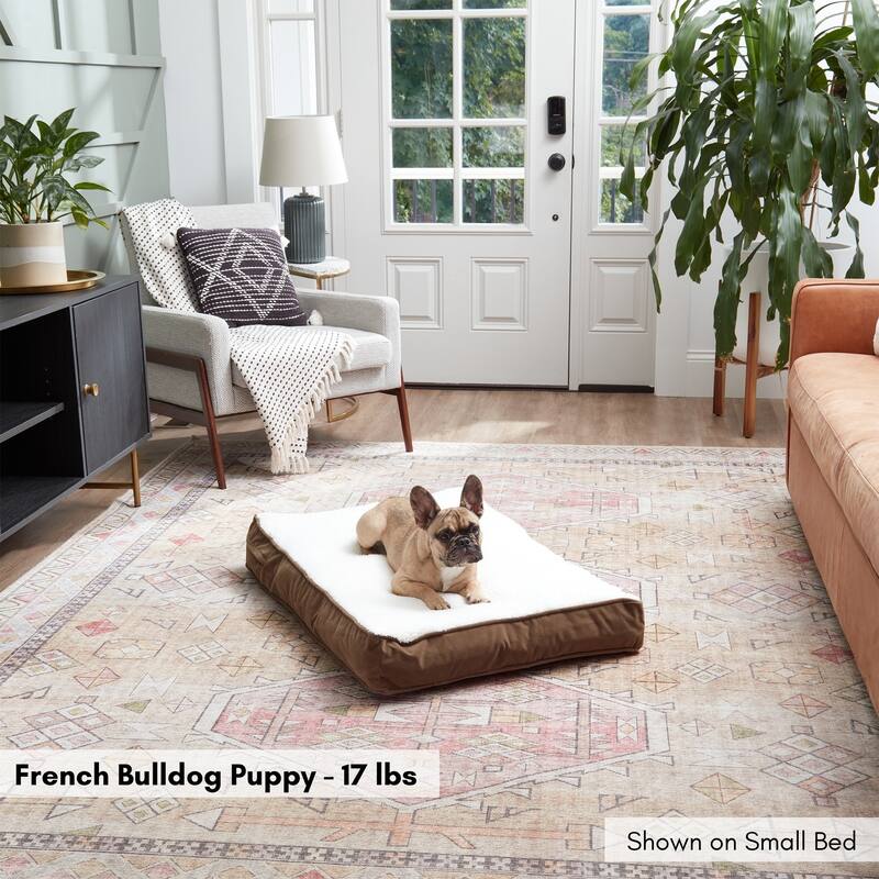 Daisy Deluxe Supportive Pillow Dog Bed