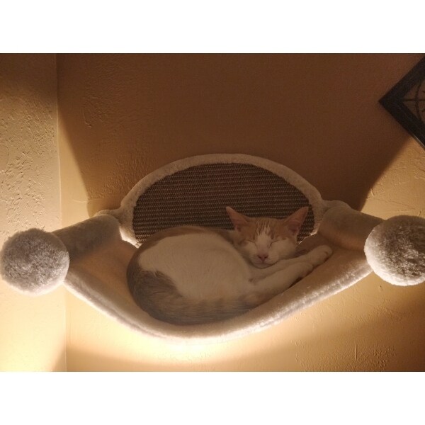 cat playground on wall