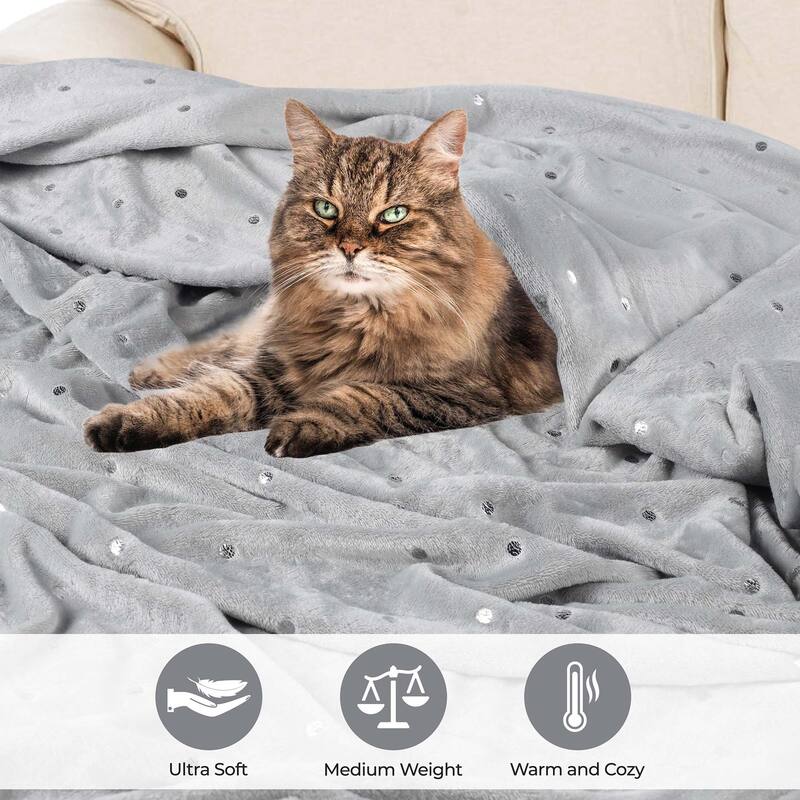 Superior Fleece Plush Medium Weight Soft Fluffy Decorative Blanket