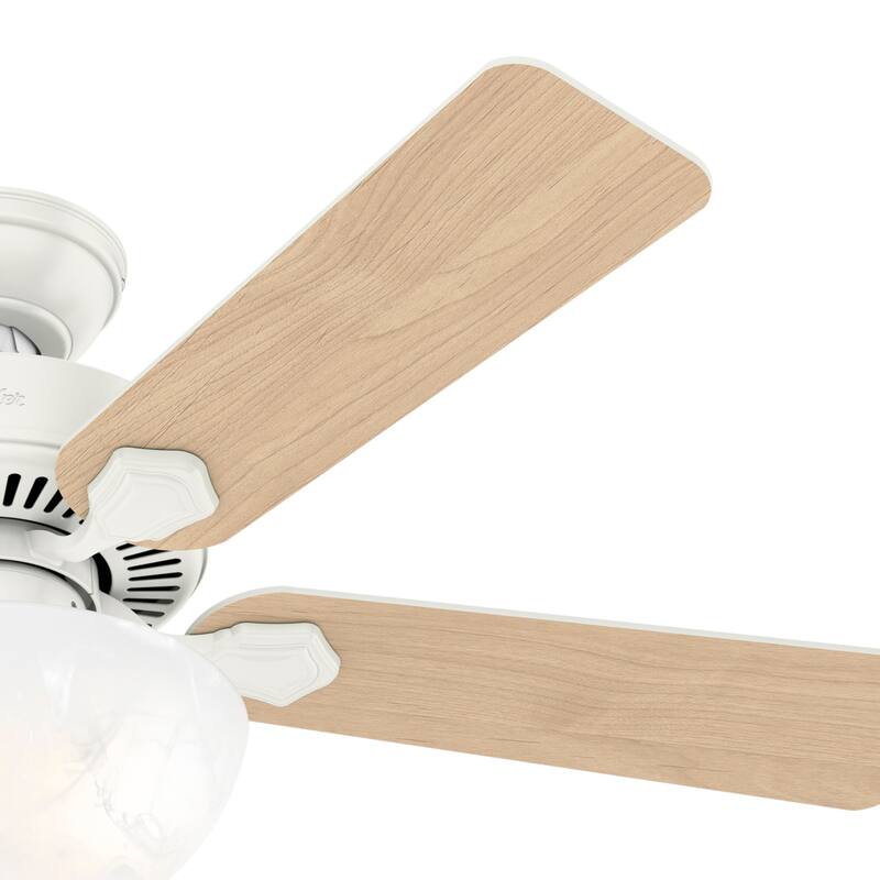 Hunter Swanson LED Bowl 44 Ceiling Fan 50896