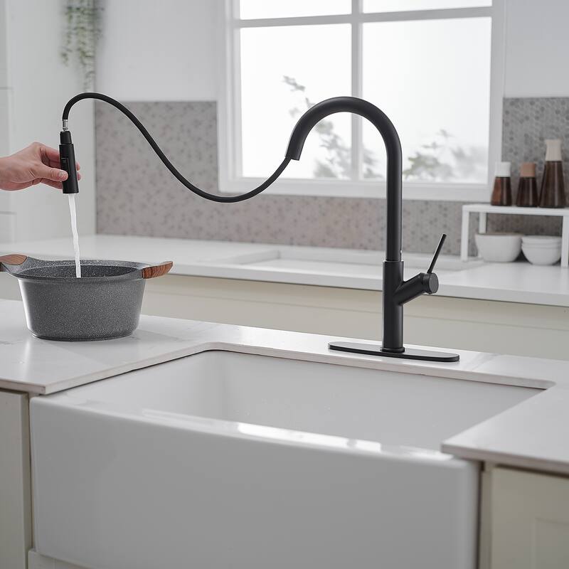 WIZ Single Handle Pull Down Sprayer Kitchen Faucet in Matte Black