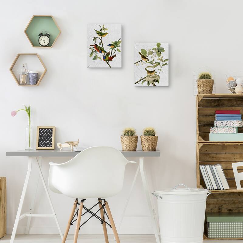 Audubon Yellow Breasted Warbler & Audubon Painted Finch Texture by Design Lab Canvas Art Prints