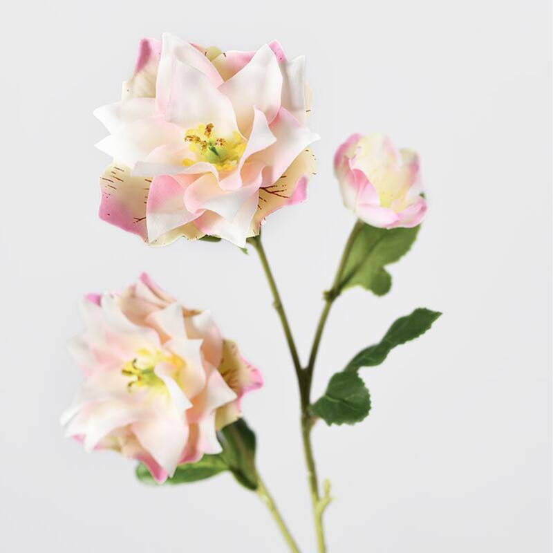 Silk Decorative Artificial Persian Buttercup(Pack of 1 Branch)