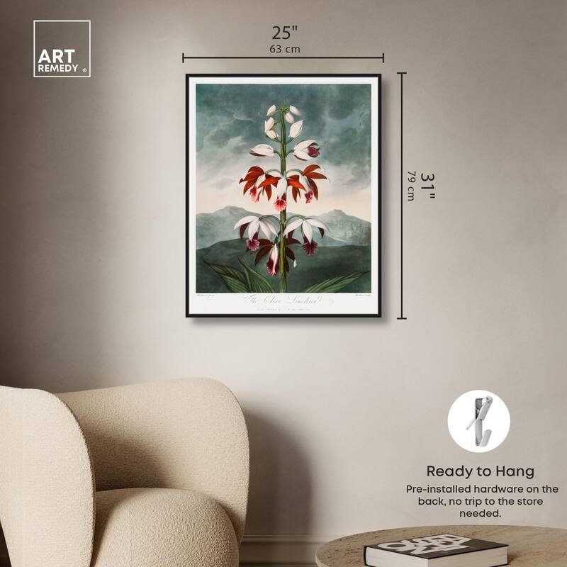 The China Limodoron 1807 Canvas by Art Remedy
