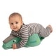 preview thumbnail 9 of 10, Crawligator Tummy Time Mobility Toy Sage