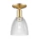 Option Champagne Bronze / Clear