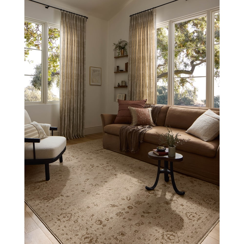 Alexander Home Halden Traditional Area Rug