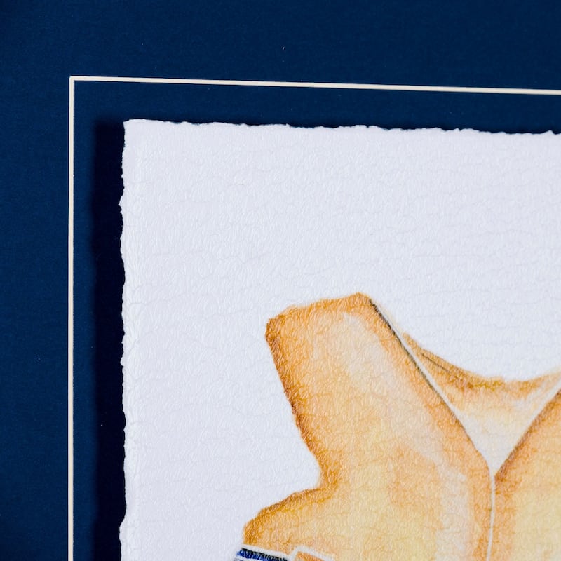 Lifejacket I Framed Art Print