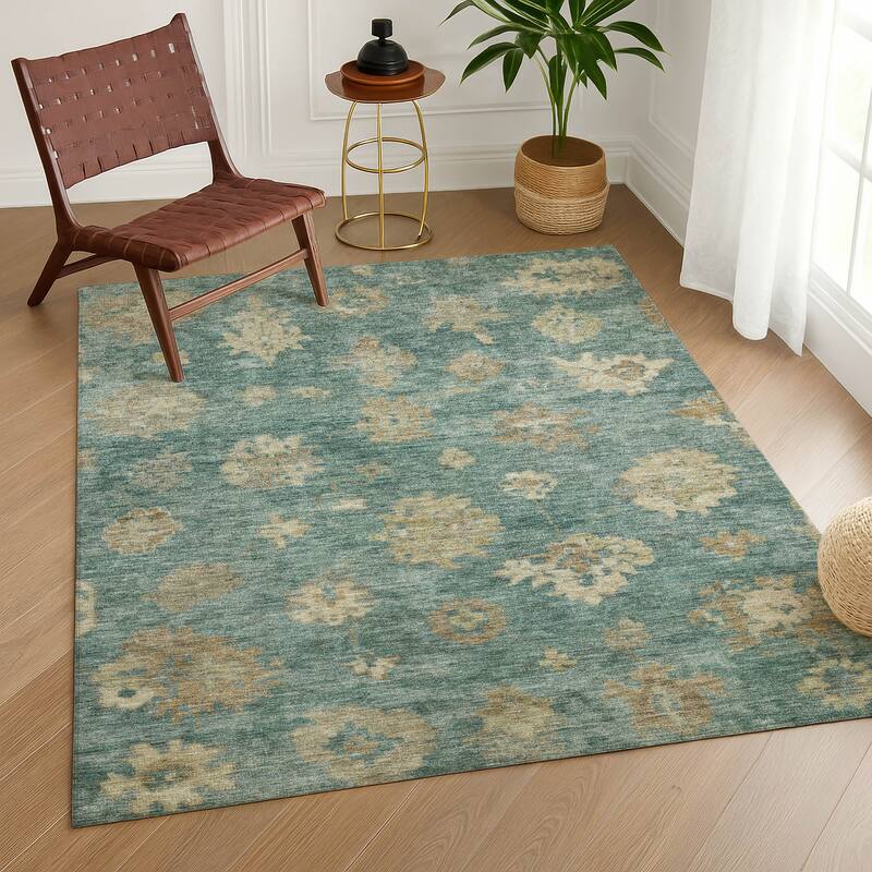 Machine Washable Indoor/ Outdoor Casual Traditional Chantille Rug