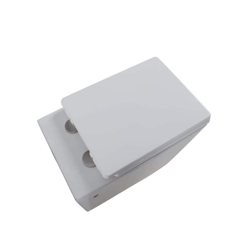 Toilet Combo Set - Toilet Bowl With Soft-Close Seat, 2"x 4" Concealed Tank And Carrier System, Push Buttons Included.