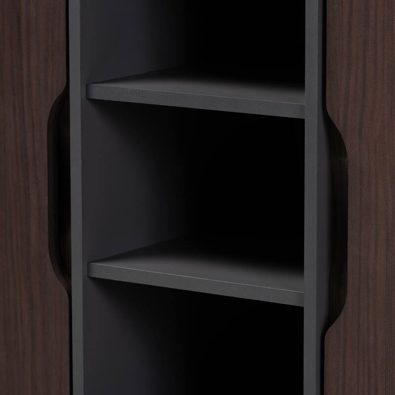 Idina Mid-Century Modern Two-Tone 2-Door Shoe Cabinet
