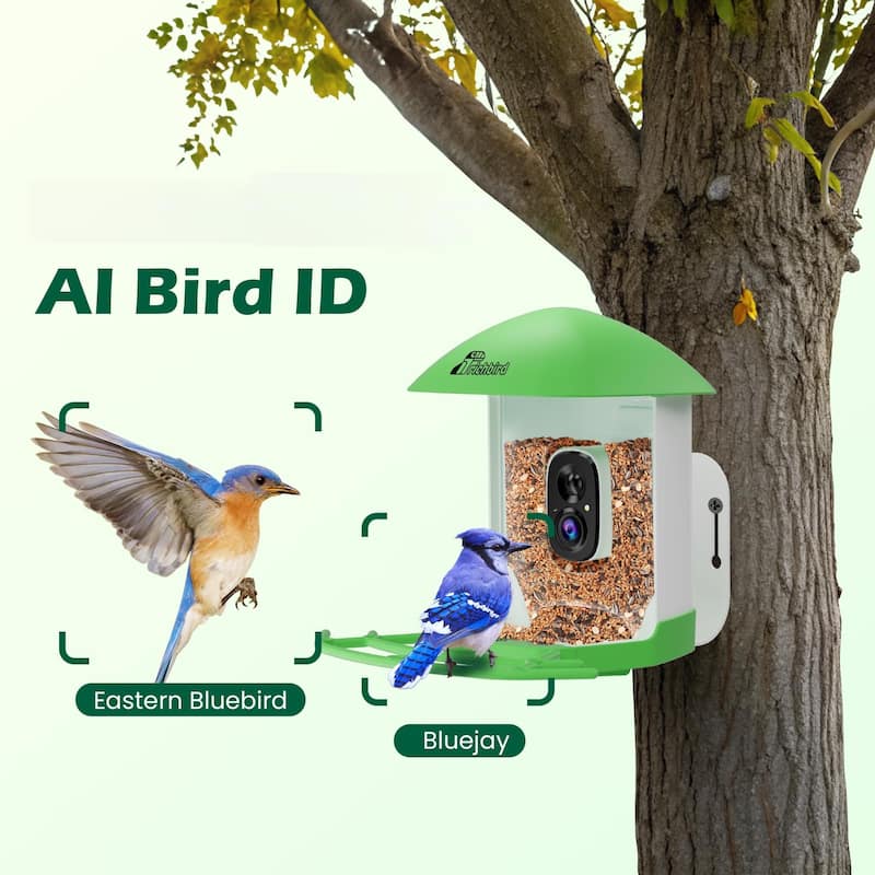 Smart Solar Bird Feeder with Camera and Interactive App