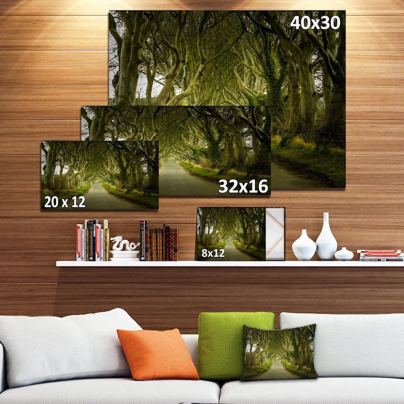 Designart "Dark Hedges Road through Old Trees" Landscape Wall Artwork Print on Canvas