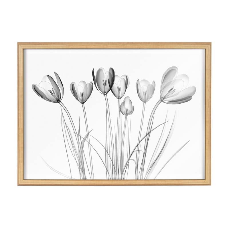 Kate and Laurel Blake Crocus Printed Art by Creative Bunch Studio