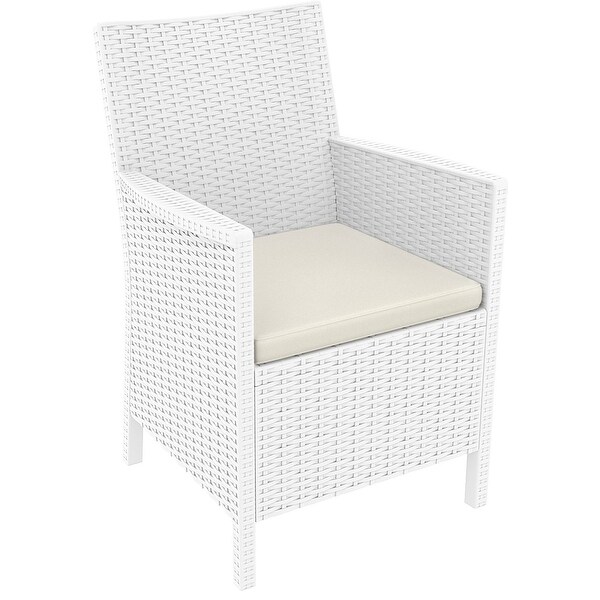 California Resin Wickerlook Chair (Set of 2), White