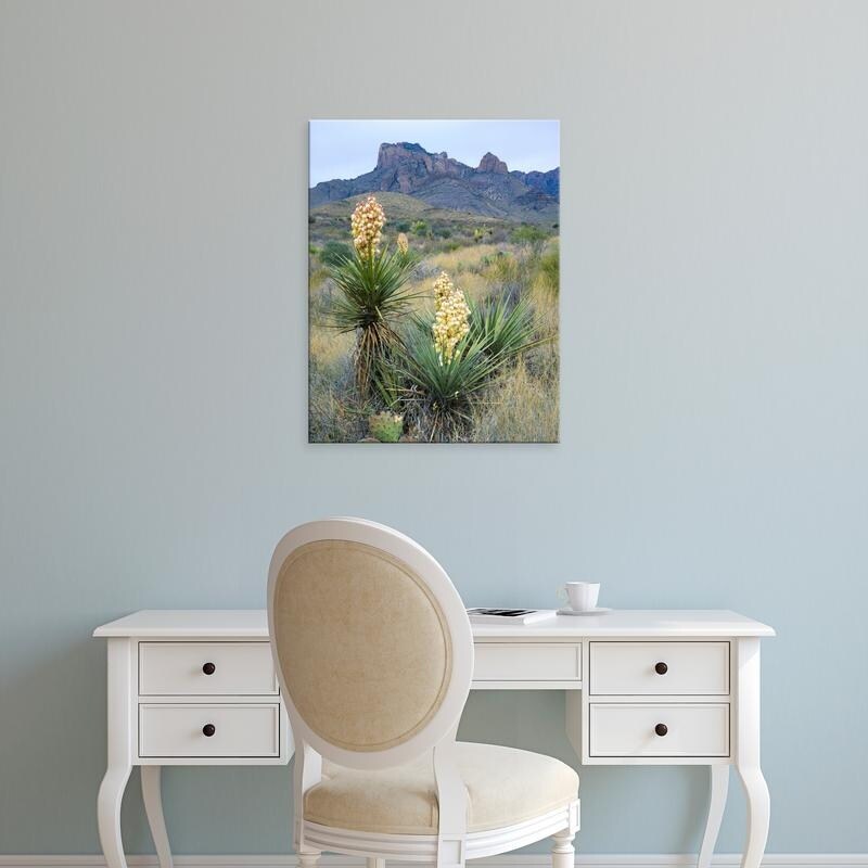 Shop Easy Art Prints Scott T Smith S Spanish Plant In Chisos