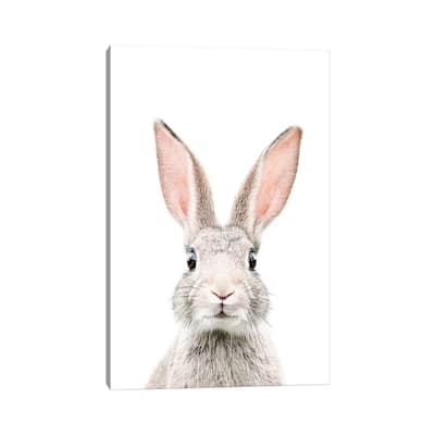 iCanvas "Bunny" by Sisi & Seb Canvas Print