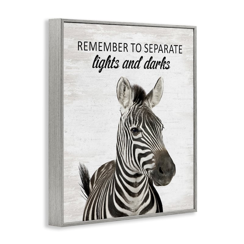 Stupell Remember To Separate Laundry Framed Giclee Art Design By Lettered and Lined