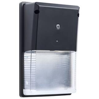 Turtle Safe Wall Pack 20 Watt 4000K CCT Black Finish Amber Light