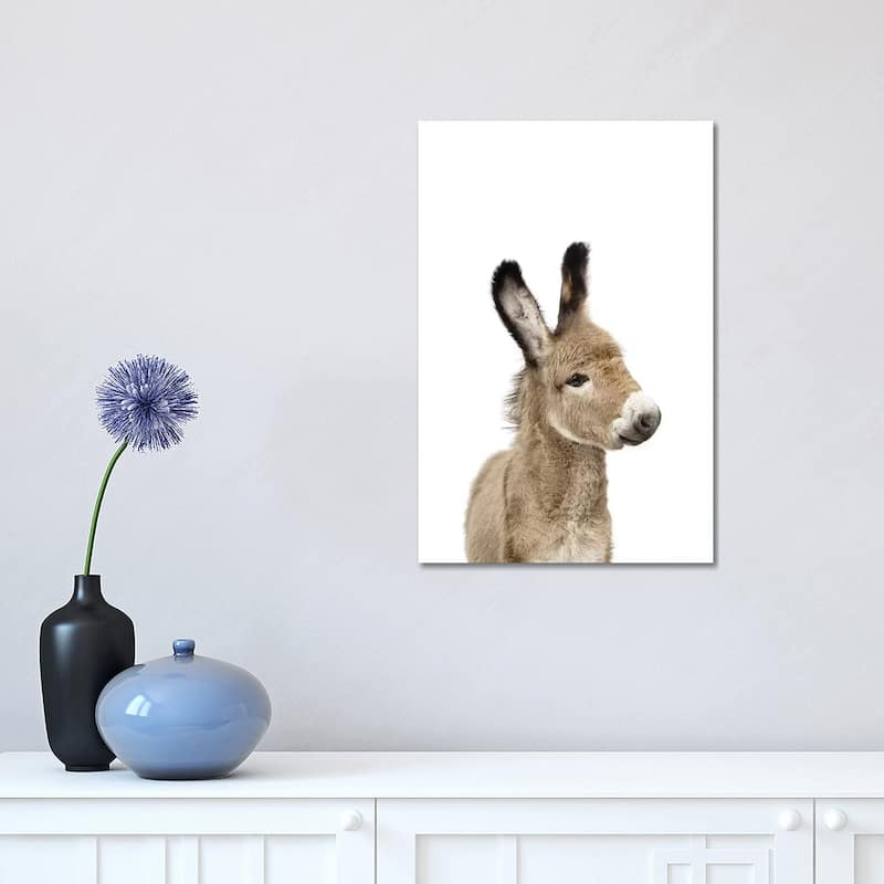 iCanvas "Baby Donkey" by Sisi & Seb Canvas Print - 18x12x1.5