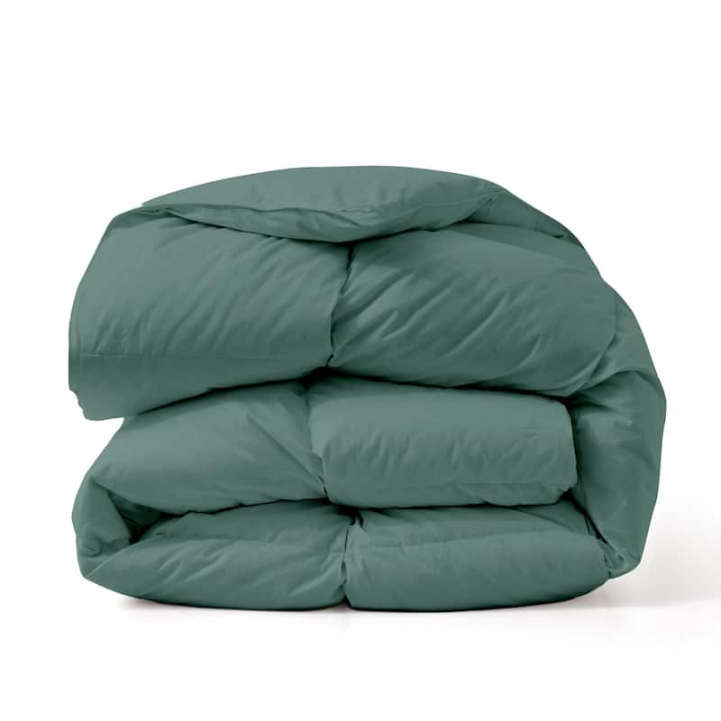 All Season Cotton Down and Feather Comforter