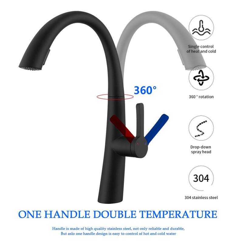 Topcraft Stainless Steel Single Handle Pull-Out Kitchen Faucet