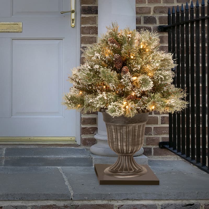 National Tree Company 2 ft. Glittery Bristle Pine Porch Bush with Twinkly LED Lights - Green - 2 ft