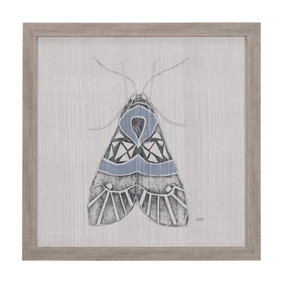 Moth Blue II Framed Art Print