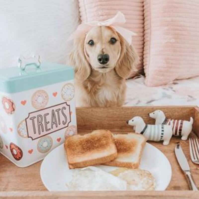 Amici Pet Barkers Dozen Metal Treats Canister - 96 oz.