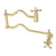 Option Polished Brass