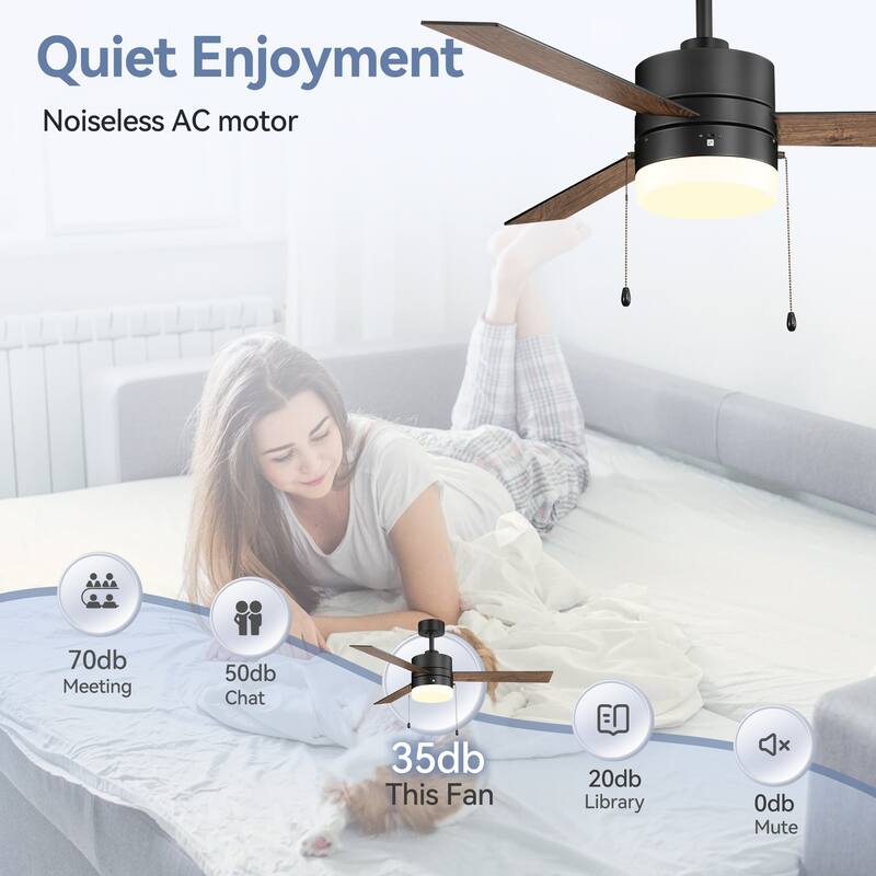 52" Traditonal Ceiling Fan with Light and Pull Chain (3 Reversible Blades)