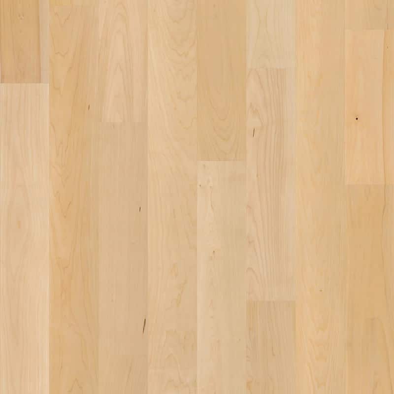 Shaw SW781 The Gallery 5" Wide Smooth Engineered Maple Hardwood - Natural Hard Maple