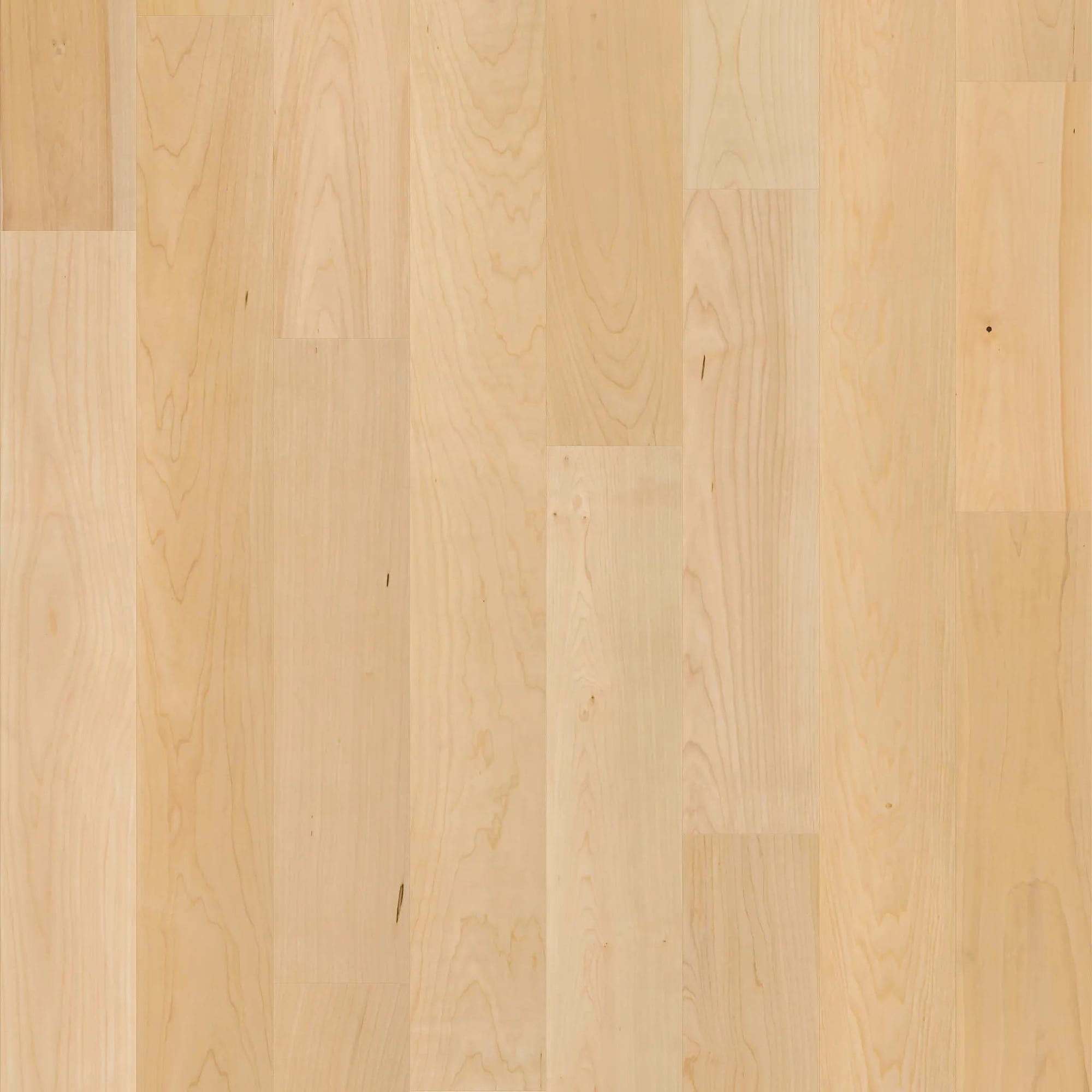 Shaw SW781 The Gallery 5" Wide Smooth Engineered Maple Hardwood