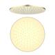 Option Brushed Gold