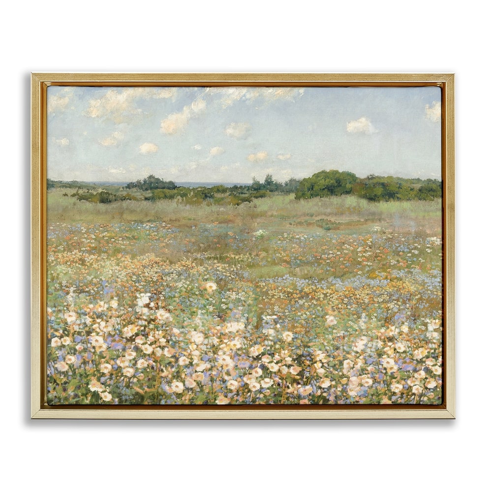 Stupell Vast Flower Speckled Meadow Framed Floater Canvas Wall Art Design By Amber Sterling