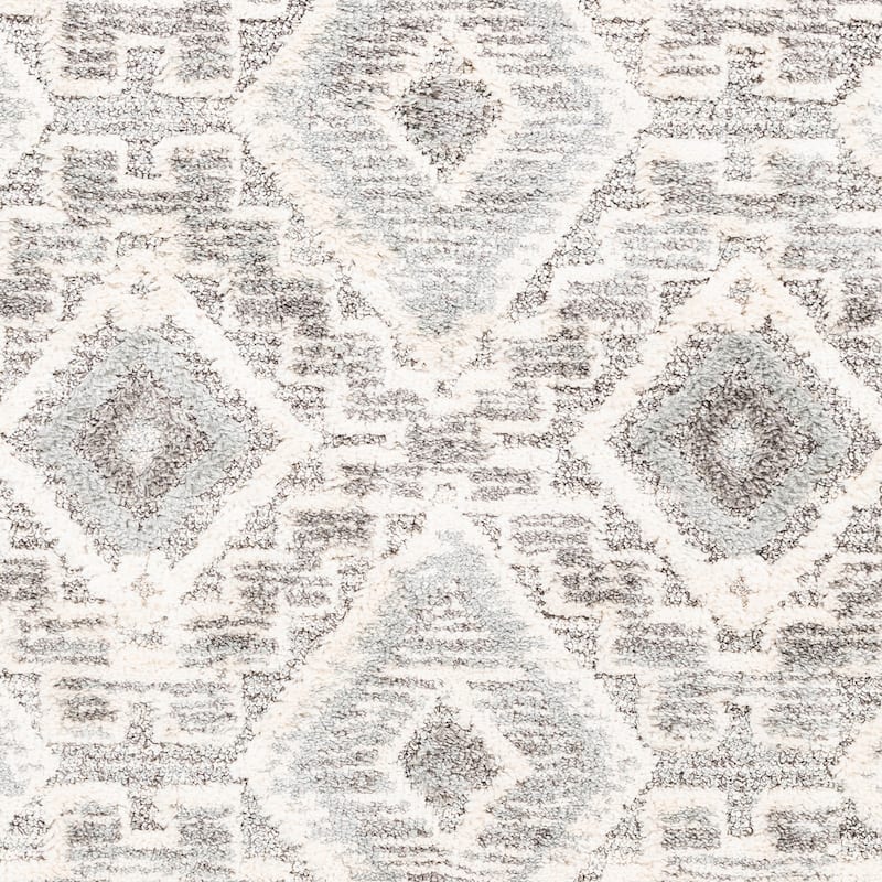 Sanderson Southwestern Medallion Area Rug