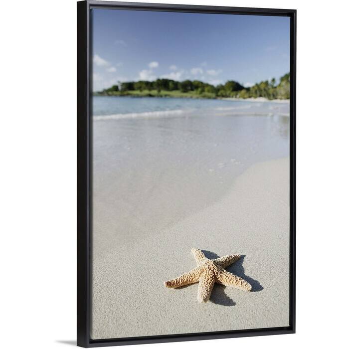 "Starfish on beach of Caribbean Sea, Virgin Islands" Black Float Frame Canvas Art