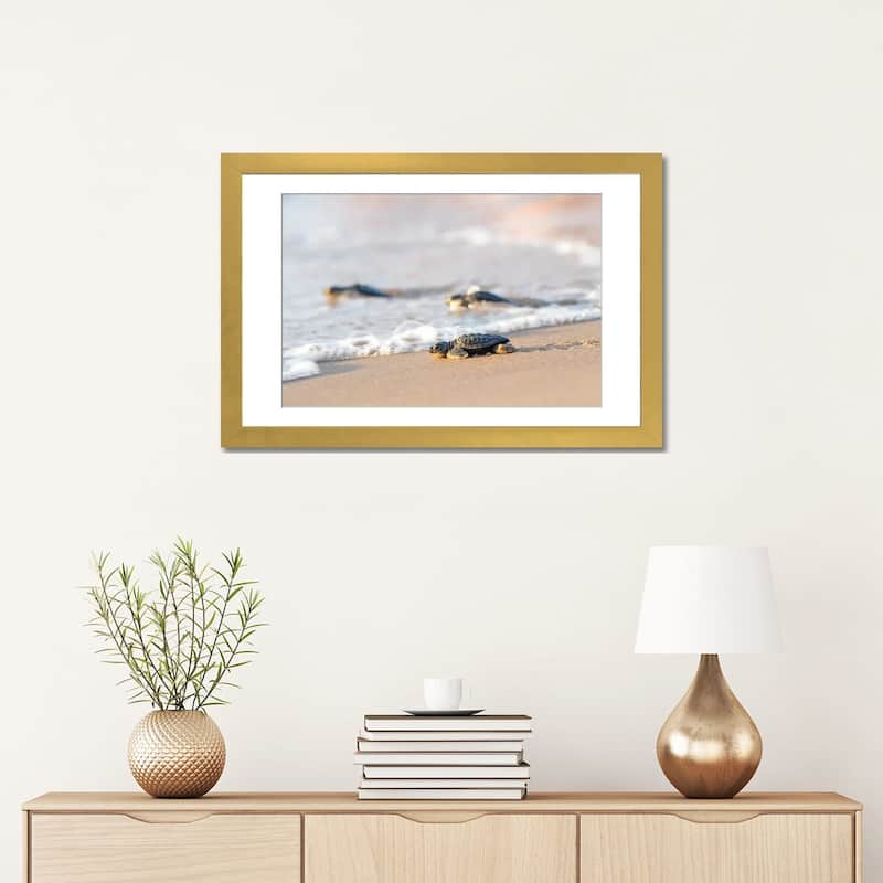 iCanvas "Kemp's Ridley Sea Turtle hatchling I" by Larry Ditto