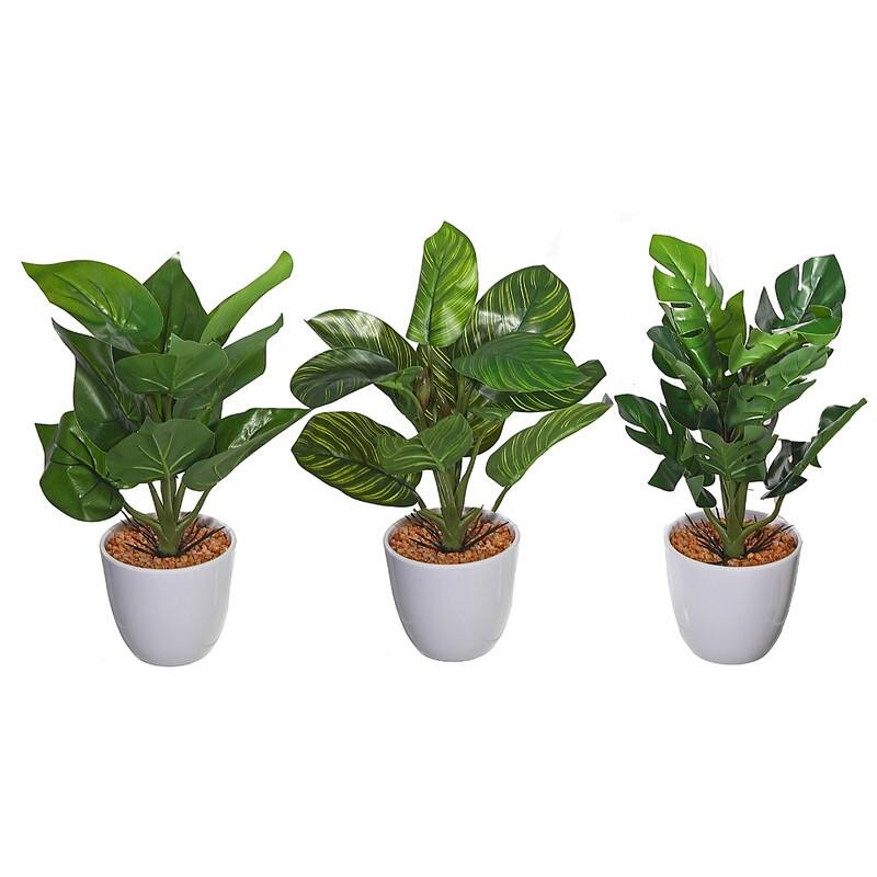 Artificial Plants In White Plastic Pot (Asstd) Set of 3 Bed Bath