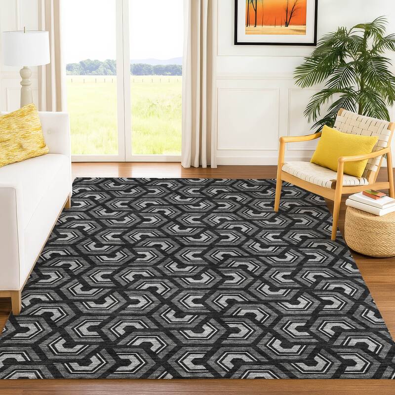 Machine Washable Indoor/ Outdoor Modern Zoa Chantille Rug
