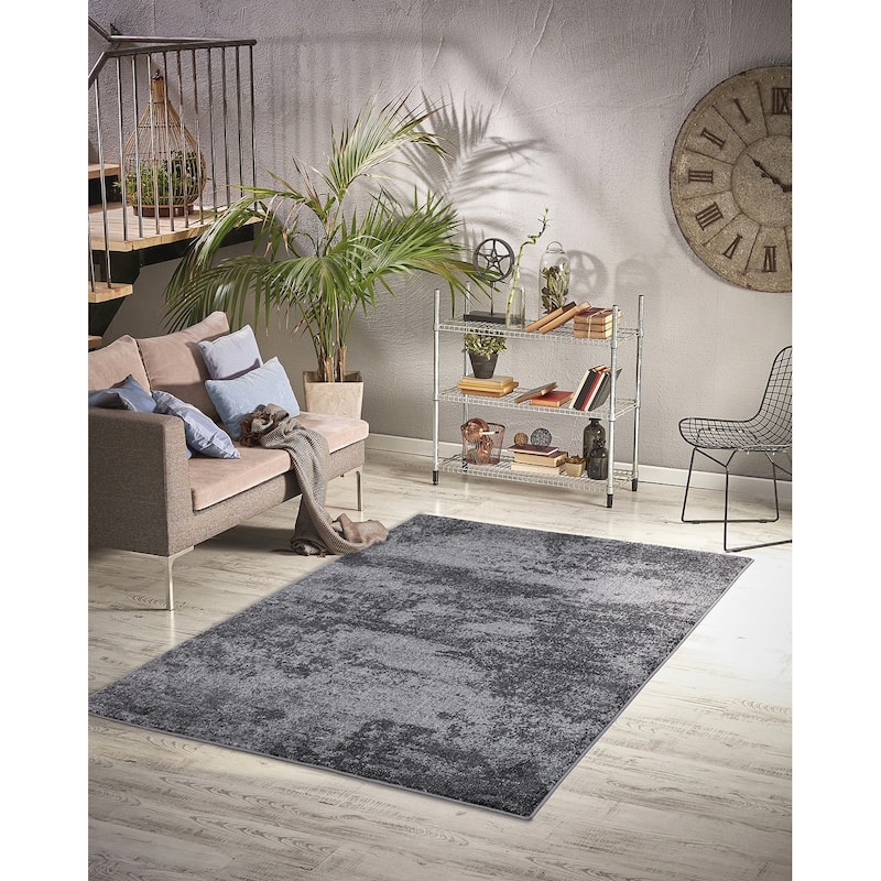 Homeward Collection Area Rug Oriental Rug for Living Room