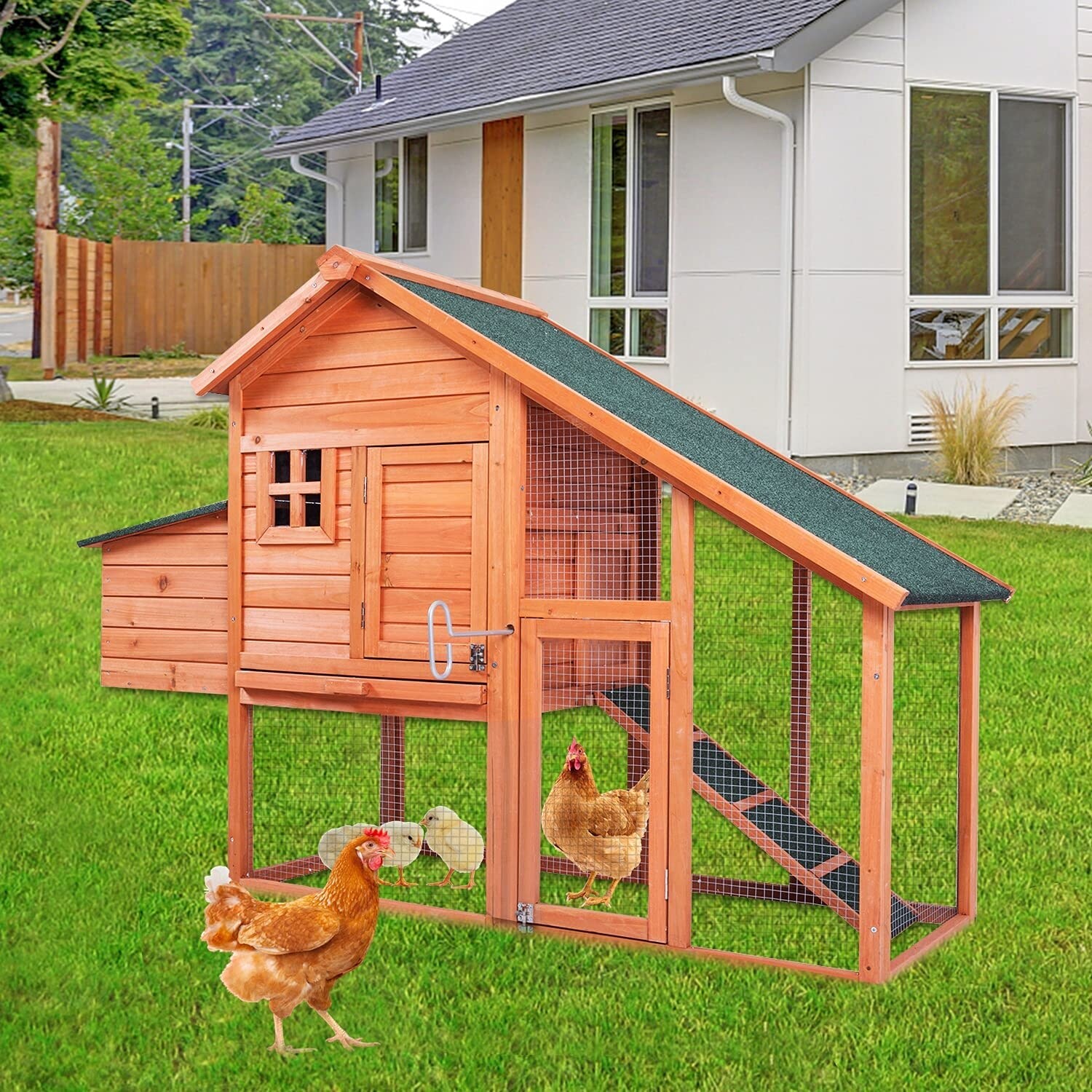 Kinpaw-Chicken-Coop-67”-Hen- Kinpaw-Chicken-Coop-67”-Hen-