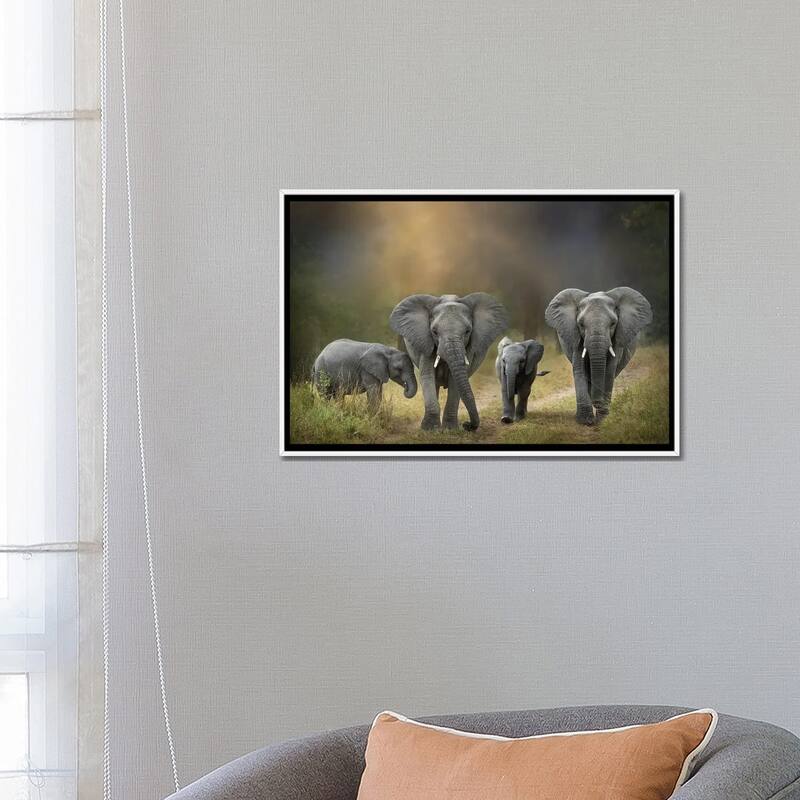 iCanvas "Elephant Family" by Patsy Weingart Framed