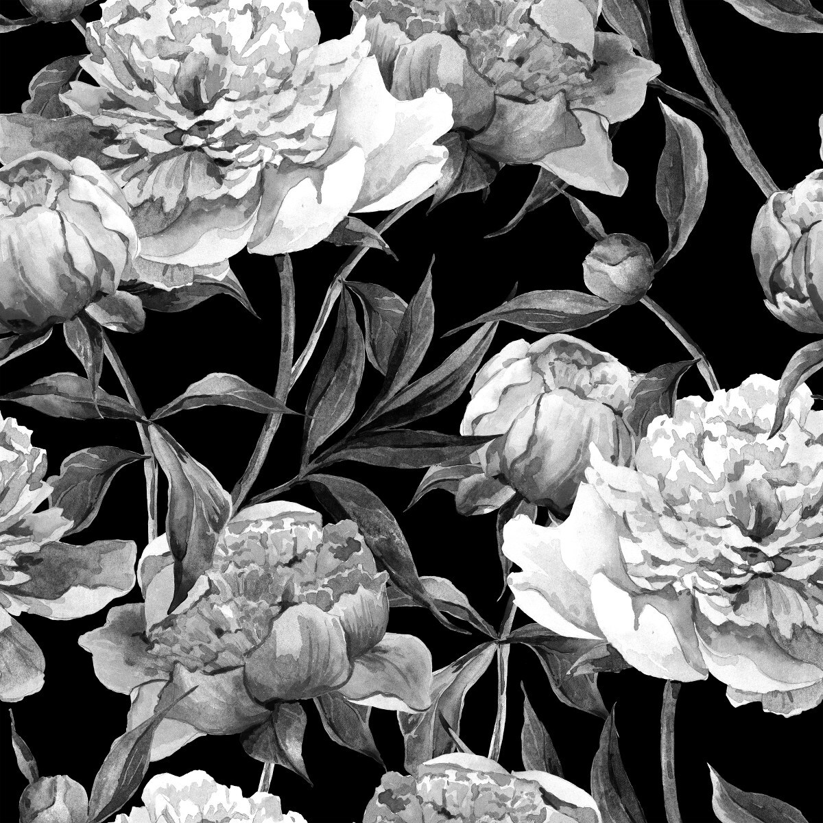 Black and White Peonies Wallpaper Peel and Stick and Prepasted ...