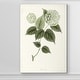 preview thumbnail 4 of 8, Sage Botanical I -Premium Gallery Wrapped Canvas