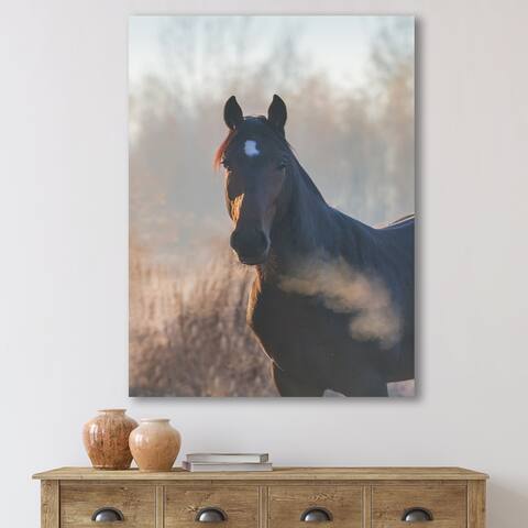 Designart 'Portrait Of A Horse On An Autumn Morning' Farmhouse Canvas Wall Art Print