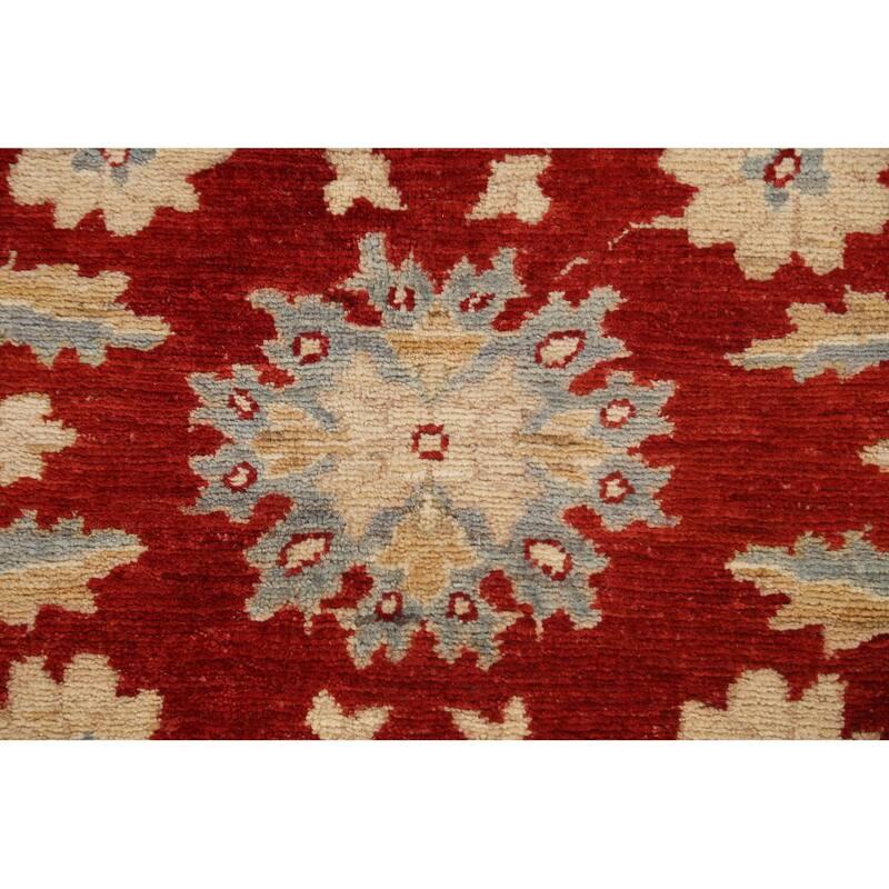 Vegetable Dye Floral Ziegler Oriental Wool Area Rug Handmade Carpet - 10'1" x 13'8"