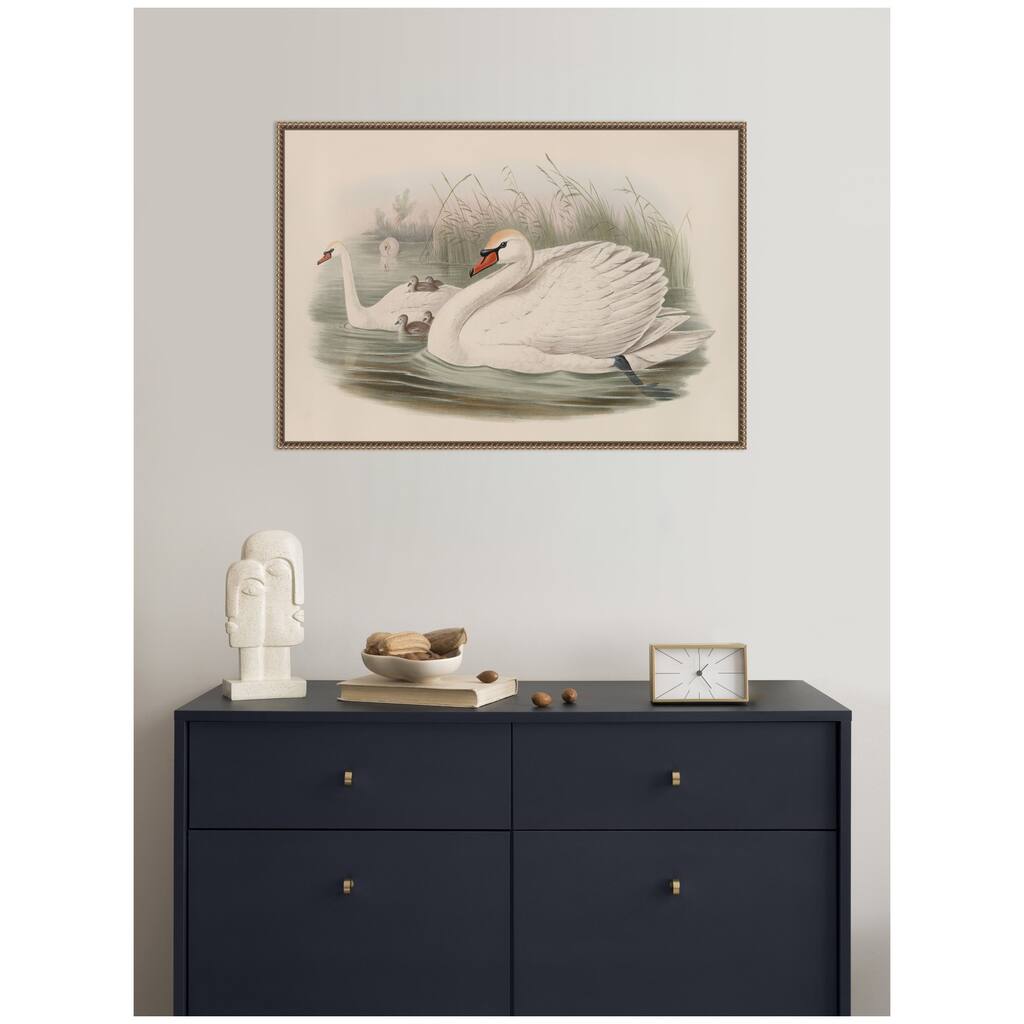 Kate and Laurel Cygnus olor Mute Swan John Gould by Nostalgia Prints Framed Canvas Wall Art Print