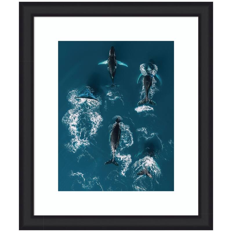 Kate and Laurel Framed Art School of Humpback Whales in the Blue Ocean by Michael Schauer - 23x27 - Black