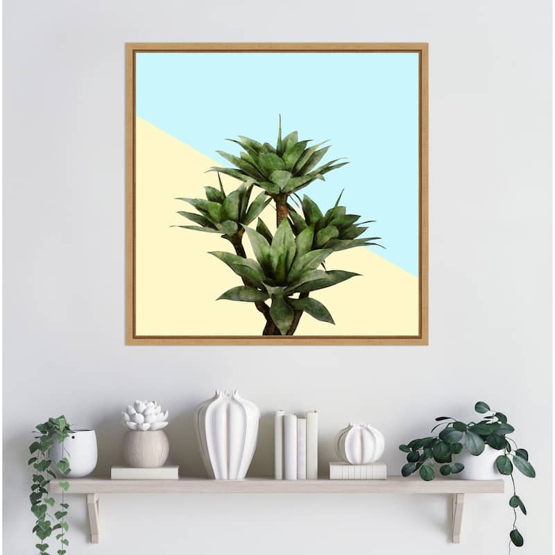 Agave 02 by Amini54 Framed Canvas Wall Art Print - Sylvie Natural
